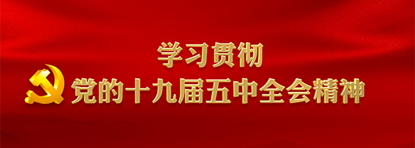 宣贯五中全会精神